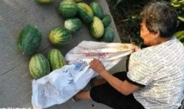 碭山最新吃瓜爆料事件,揭秘神秘事件背后的真相